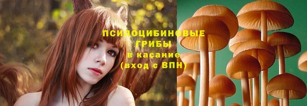 apvp Нязепетровск