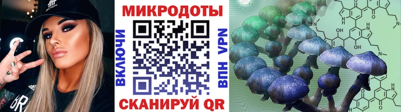 Псилоцибиновые грибы прущие грибы  Сафоново 