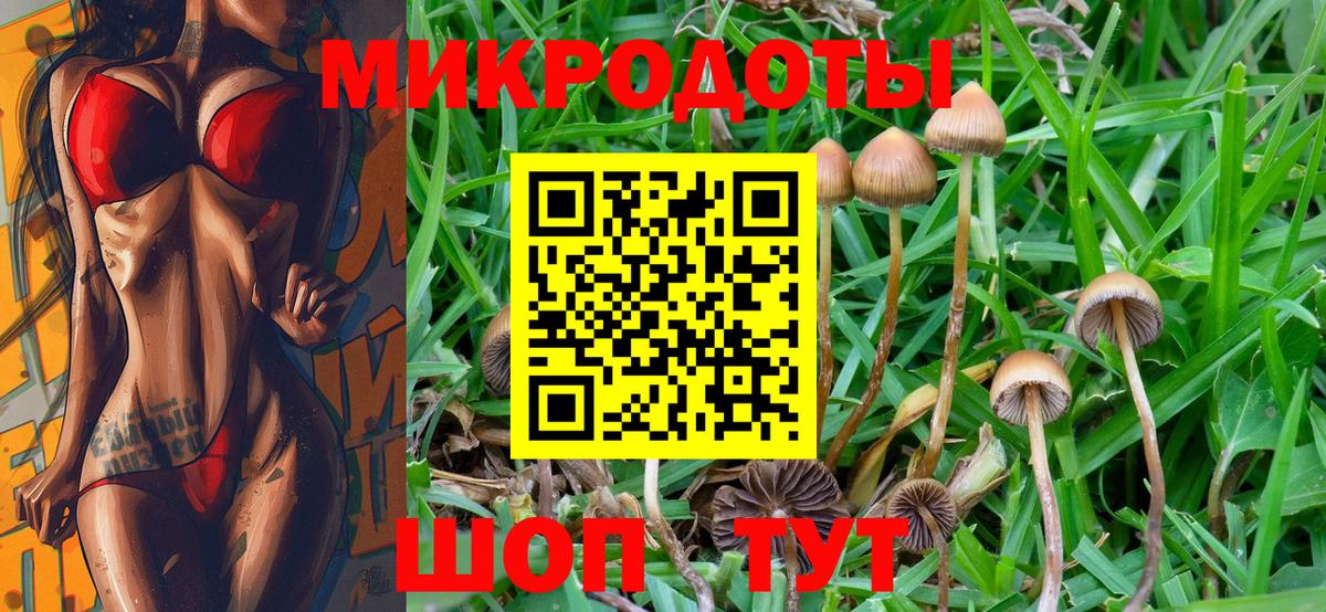 Галлюциногенные грибы прущие грибы Сафоново