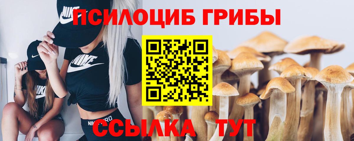 Галлюциногенные грибы мухоморы  Вход с VPN  Псилоцибиновые грибы мухоморы  Сафоново 